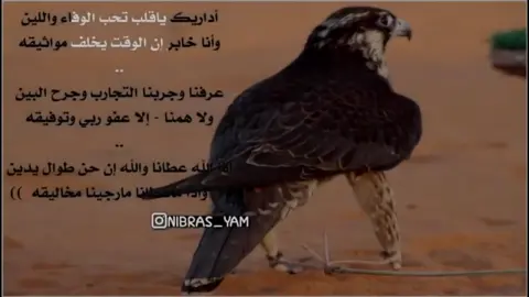 أداريك ياقلبِ تحب الوفاء واللين وأنا خابر إن الوقت يخلف مواثيقه .. عرفنا وجربنا التجارب وجرح البين  ولا همنا - إلا عفو ربي وتوفيقه .. إذا اللّه عطانا والله إن حن طوال يدين ( واذا ماعطانا - مارجينا مخاليقه ) ———— #نبراس_يام #مهدي_سميطان #نجران #مهدي_بن_سميطان #يام 