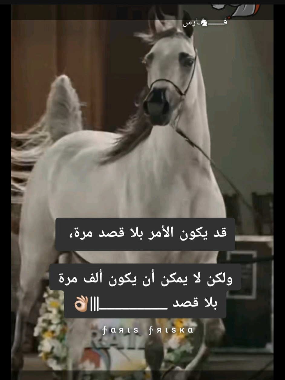 #خيل_وخياله🐎 #horseriding  #عالم_متصنع #لا_آمان_للبشر  #fyppppppppppppppppppppppp 