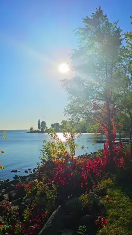 Fall🍂🍁🍃 colors dancing, in gentle breeze's sway, River's serene voice, whispers peace each day. SubhanAllah, nature's beauty shines, A reflection of Allah's artistry, forever divine.🍁🍂 #nature #relaxation  #peace #foryoupage  #creatorsearchinsights 