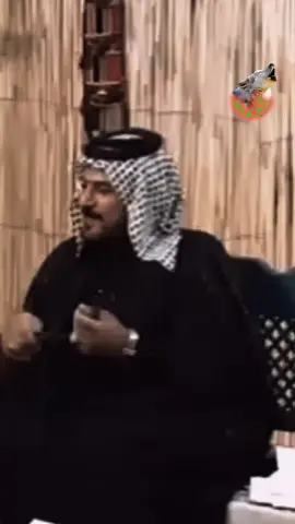 # الشاعر سيد علي العوادي # الذيب # اكسبلور