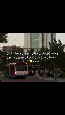 #ئەکتیڤبن🥀🖤ـہہـ٨ــہ #ئاكري_دهوك_زاخو_هةولير_سليماني_سيميل #شعب_الصيني_ماله_حل😂😂 #fyppppppppppppppppppppppp #fypシ 
