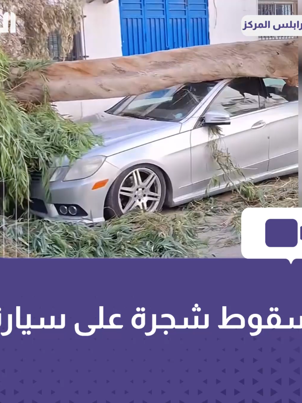 بسبب الرياح.. سقوط جذع شجرة سقط على إحدى السيارات في شارع المسيرة بطرابلس وسط مناشدات لشركة الخدمات العامة للمساعدة في إزالته.