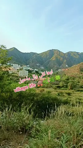 #villagelife206 #mountains #foryoupage #usa_tiktok #natural 