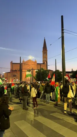Free palestina ⛓️‍💥🇵🇸  #firenze #f #palestine🇵🇸alger🇩🇿_maroc🇲🇦_tunusie🇹🇳#🇮🇹 