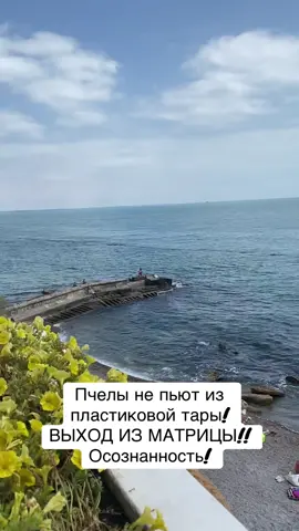#здоровьебезлекарств #осознанность #пластик #матрица #выходизматрицы 
