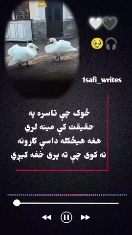 #creatorsearchinsights #video #foryou #tiktok #viral 