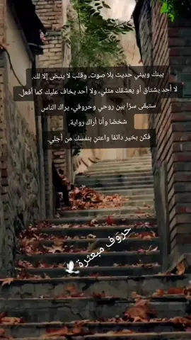 #حروف_مبعثرة🕊 #✍📖📚🎼سوريا #المانيا_السويد_النمسا_النروج_دينيمارك #تونس_الكويت_مصر_السعودية_العراق #الخليج_العربي 