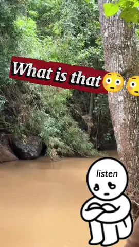 What is that😳😳😳🤔🤫 #highlight #Dailysports 