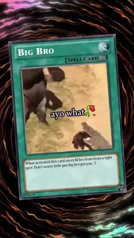 SPELL CARD ACTIVATED… BIG BRO!!! BIG BRO GOT YOU LIL BRO :’) #yugiohmemes#yugioh#fyp#memes#gorilla 