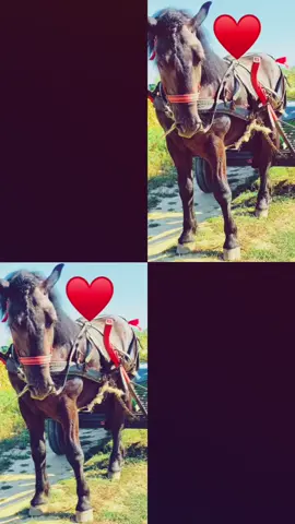 Gooeee😍🥰♥️♥️😀🥱😍👈🏾👌🏿🤗😊☺️