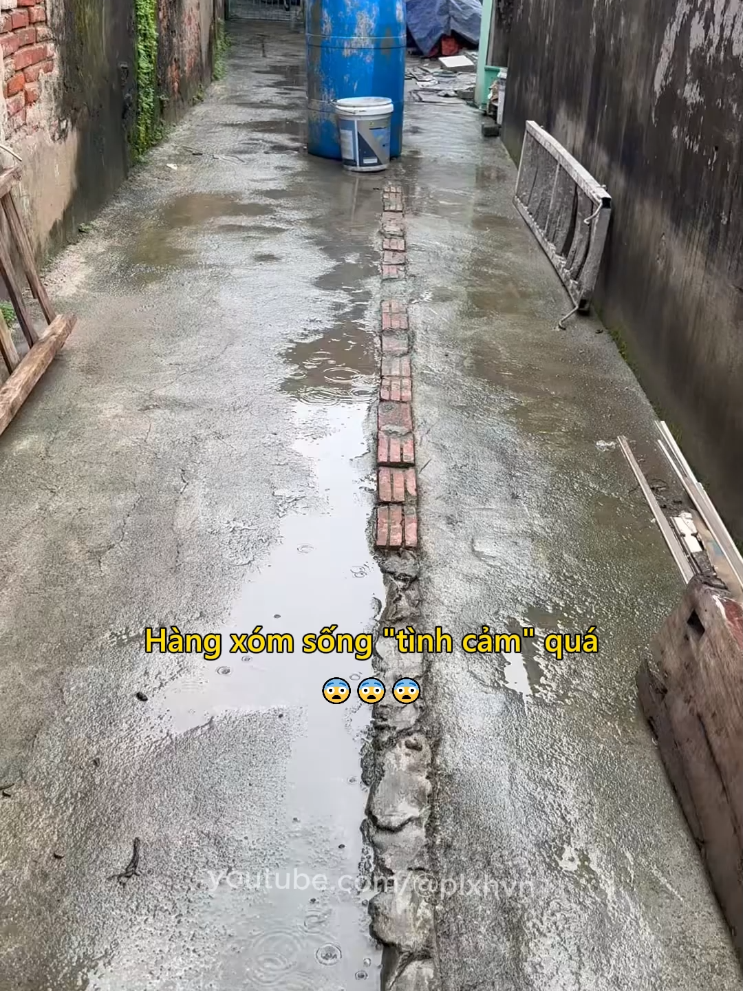 Hàng xóm sống 