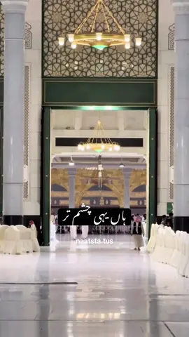 جن کا روز آنا جانا مدینے میں ہے 🥺🫀 #naatlyrics #naatstatus #jummamubarak #islamicvideo #foryou 