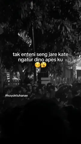 #xyzbca #sanesgolekrai #fyp 