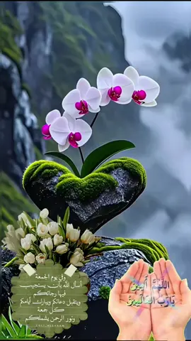 #دعاء#يوم#الجمعة#🤲🤲🕋🕋🤲🤲 #صباحكم_معطر_بذكر_الله💚🌹🌿🌷😍🌸🙏 