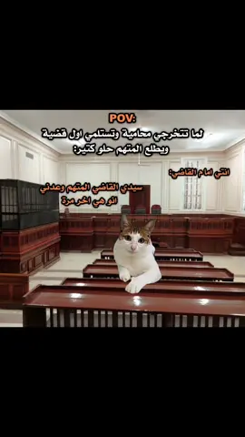 #هههههههههههههههههههههههههههههههههههههه 