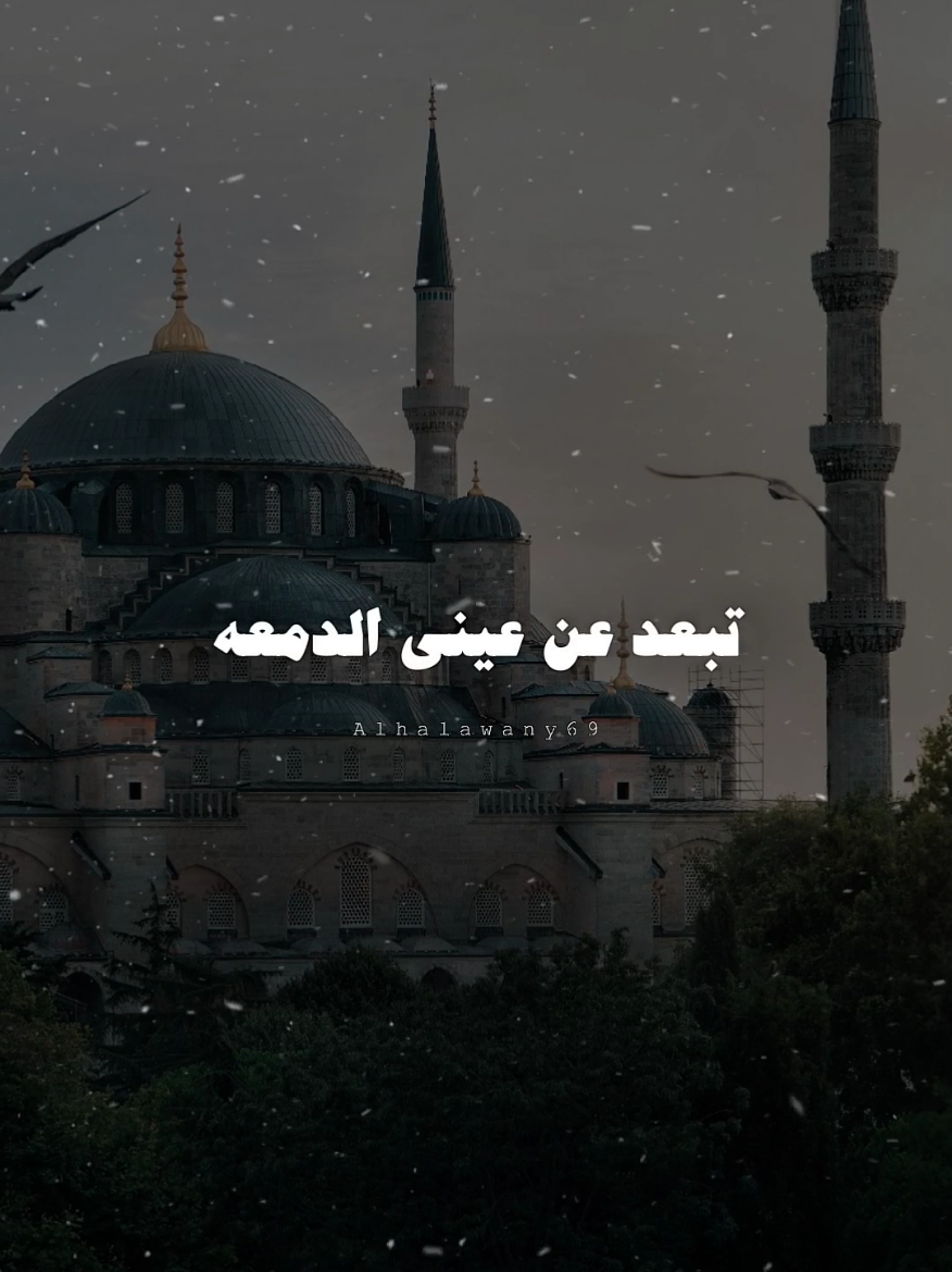 يارب في يوم الجمعه ❤️✨ #يوم_الجمعه_خيرا_من_كل_يوم #اللهم_صلي_على_نبينا_محمد #ادعية_اسلامية_تريح_القلب #fyp #تصميم_الحلواني🖤🎤 