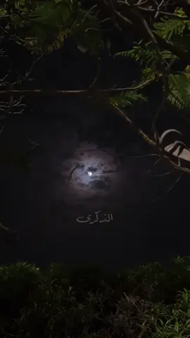 #عبدالله_ال_فروان #وينك_بس #شيلات 