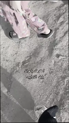 عراق زربه 🥰. #قوالب#العراق
