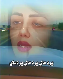 موالات الفنان محمد الحسناوي 2026#تصميم_فيديوهات🎶🎤🎬 #fyp #اكسبلورexplore #موالات_حزينة_عراقية💔 #الطرب_العراقي_الاصيل 