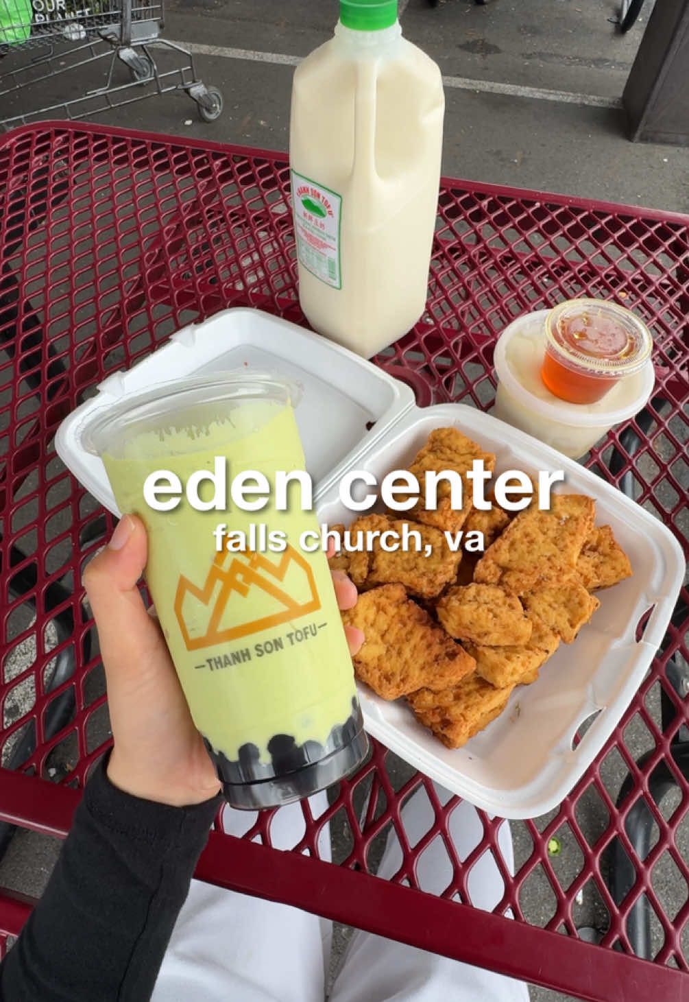 eden center! healing my inner child 🙇🏻‍♀️ if you’re viet and grew up in the dmv, you probably used to come here as a kid and hated it because it felt like a chore lmao but as I’ve gotten older, I’ve learned to appreciate it and now I cherish all of my memories here dont come for my pronunciation yall 😭✋ unfortunately I am a no sabo kid but the viet version #dmvfoodie #novafoodie #eatwithme #vietnamesefood #foodvlog 
