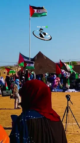 #fypシ゚ #الصحراء_الغربية 