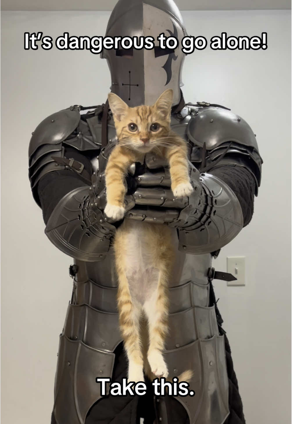 May this companion bring you great fortune. #fyp #loz #zelda #ocarinaoftime #kitten #knight #dnd 