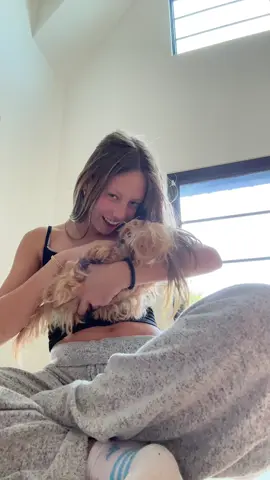 MEET GOLDY GOLDBERG. 💛💞💞🥹🥰😝#puppy #yayy #goldy #baby #shesthecutestthingiveeverseeninmyentirelife🤩🤩😝