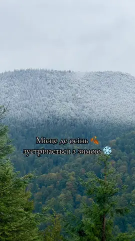 Осінь зустрілась з зимою. #карпати #осінь #зима #fup #сніг 