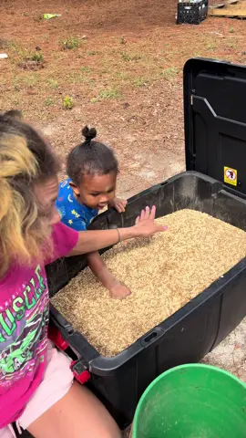 of course its the boss wasting supplies!! Anyways let’s see what this does for our egg production. #homesteading #homesteadlife #relatable #Lifestyle #youngmomsoftiktok 