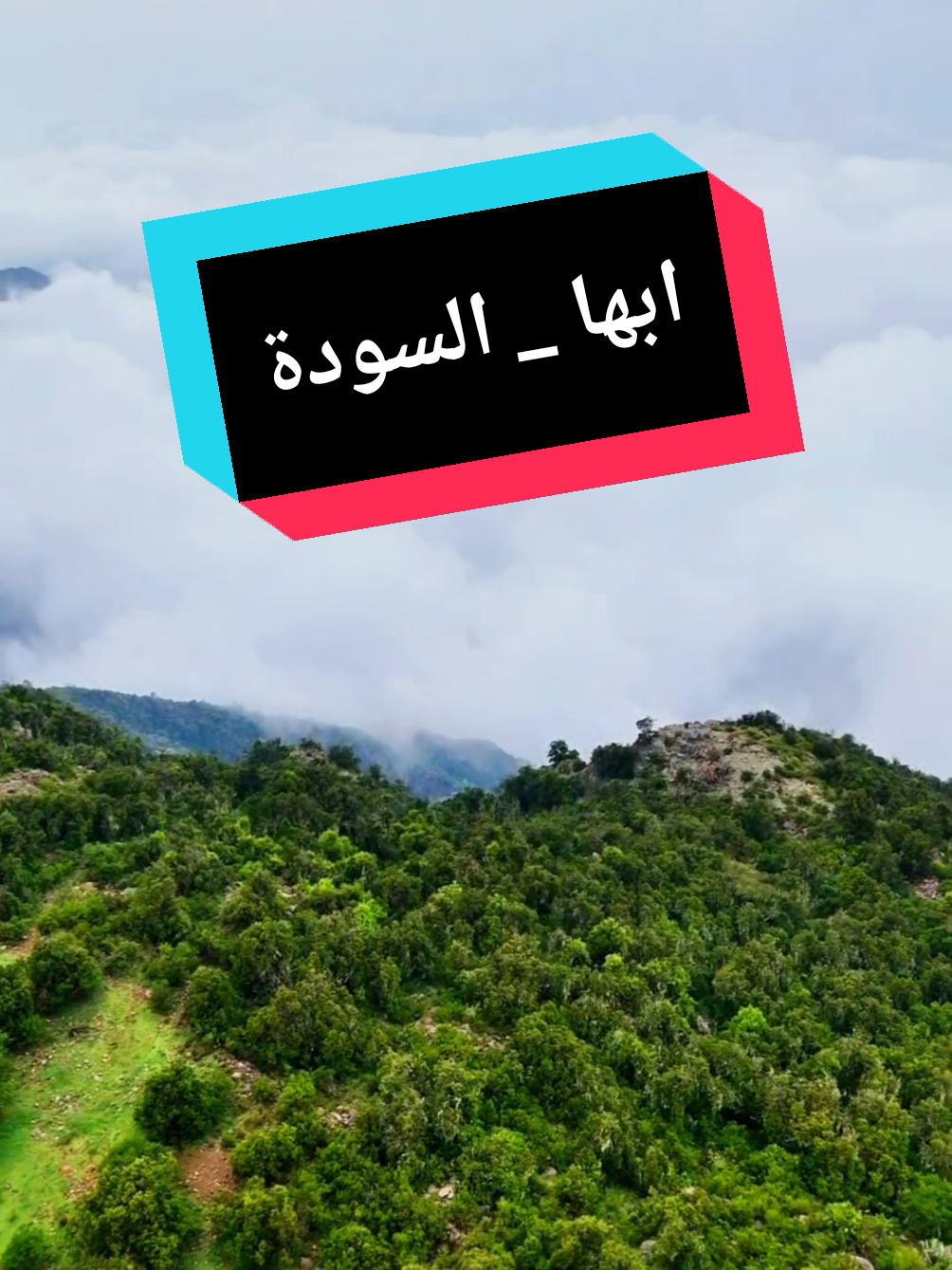 ابها البهيه ترد الكهله صبيه 🤍 #ابها  #خميس_مشيط_أبها  #السوده  #سودة #عسير 