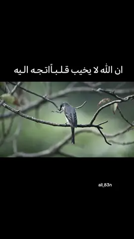 #مشاهدات #شورحاتي 