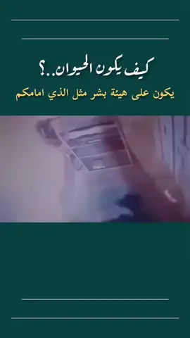 كيف يكون الحيوان ....؟