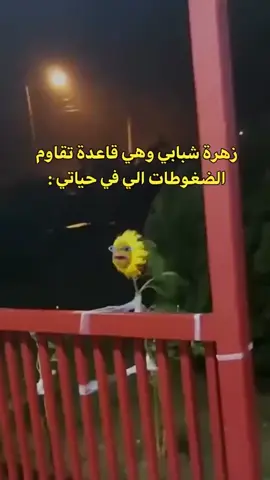 Life pressure #حبيبي❤️ #القمر_الازرق #اغاني #حبي #القمر 