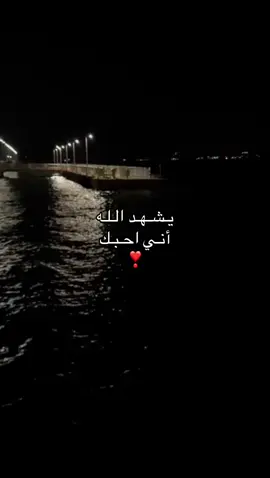 #tiktok #you #pet #gaming #explore 