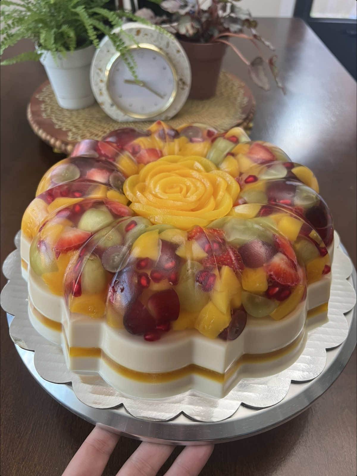 Me encantan las Gelatinas Encapsuladas 🤩💛 #jellycious_tx #gelatinascreativas #gelatinaencapsulada #gelatina #jellocake 