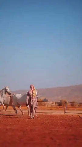 #وفيق_حبيب🖤👑😌 #صبية #خيول_عربية_اصيلة_🌹💙 #عشق_الخيل_ادمان🐎❤️ #خيول_جمال🤎🐎 