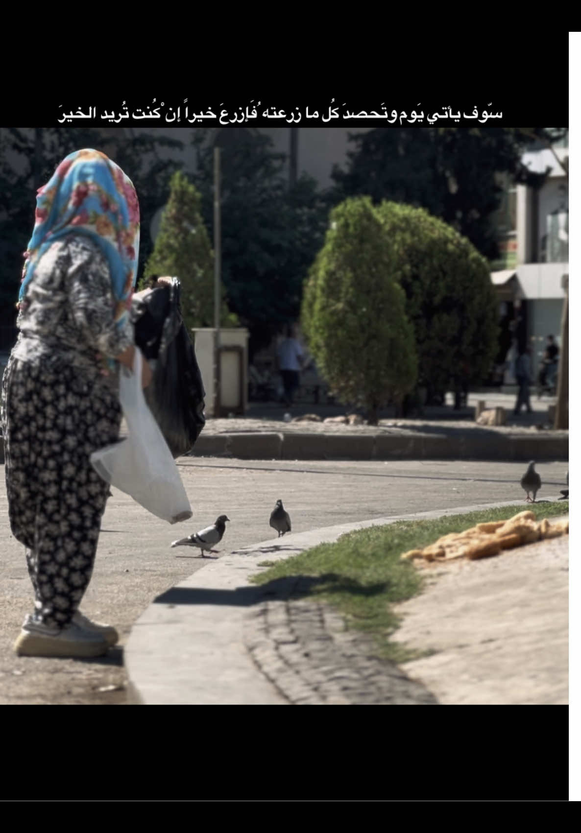 سّوف يأتي يَوم وتَحصدَ كُل ما زرعته ُفَإزرعَ خيراً إن ْكُنت تُريد الخيرَ #hasan_31_12 