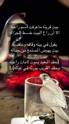 #فلسطين_أحساس_شاعر_لايك_فضلآ_وليس_أمرآ 