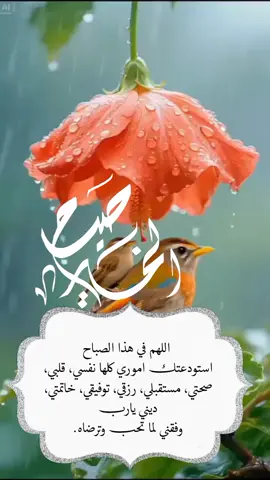 ‏اللهم في هذا الصباح استودعتك اموري كلها نفسي، قلبي، صحتي، مستقبلي، رزقي، توفيقي، خاتمتي، ديني يارب وفقني لما تحب وترضاه 🤍#يارب❤️ #foryou #frypgシ #foryoupage 