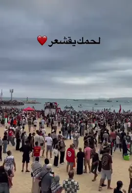 الله واكبر لحظة وصول سفن الصمود الى غزه 🤲#الله_اكبر #غزه #اليمن #قافلة_الصمود #الكل_يشارك💔☹️🍂 