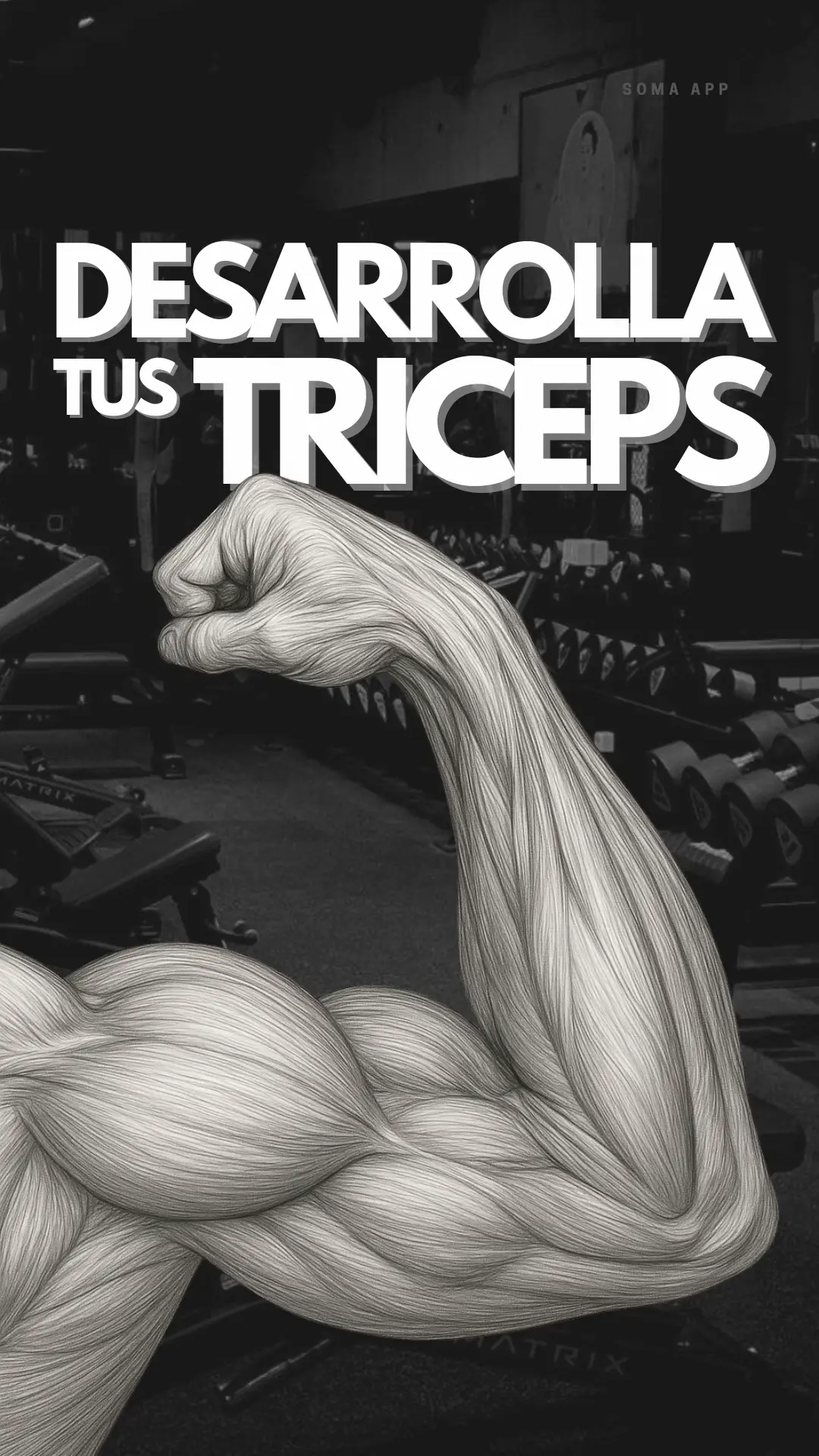 #entretenimiento #tricepsworkout #entrenamientodetriceps #rutinaencasa #tricepsday 