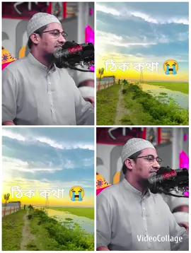 ঠিক কথা 😭😭😭😭😭😭😭😭😭😭😭😭😭😭😭 ঠিক 😭😭😭😭😭😭 ঠিক 😭😭😭 ঠিক 😭😭😭😭 #আনিসুর_রহমান_আশরাফী💖💖 