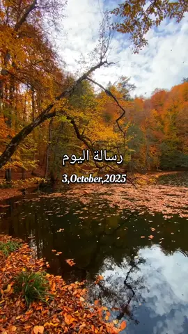 رسالة اليوم 3/10/2025 🕊️ Today's message رسالة إليك أرسل الفيديو لشخص تحبه 🌸🤍✨ لمن يرغب بحجز استشارة أو قراءة خاصة (مبنية على الحدس الإلهي) راسلني خاص🕊️ * ماهي القراءة الخاصة؟!  هي رسالة اقوم بكتابتها لك خصيصاً بناءاً على حدسي فقط , ربما ما تحتاج لسماعه في هذا التوقيت , أسباب مشاكلك , ما يعرقل تشافيك , ما هو سبب التعطيل واضيف بعض النصائح لكي تساعدك على معرفة نقاط ضعفك فتشتغل عليها . * الاستشارة تكون عن مشكلة ما أنت تواجهها وتعرف بالتحديد ما هي على سبيل المثال في التشافي أو صدمات الطفولة أو أي شئ في حياتك تسعى للتطوير منه ولا تعرف الكيفية ومن أين تبدأ ( عاطفة ، عمل ، علاقات ... إلخ ) بالإضافة إلى أي استفسار في مجال الوعي وتطوير الذات والتشافي والروحانية بشكل عام. ⛔ تنبيه هام : أنا لا أبارك سرقة فيديوهاتي وجميع محتوياتي مشحونة بحيث أن من يسرقها وينسبها إلى نفسه تصيبه كارما سلبية ، مسموح فقط بأخذها كحالة أو للاستخدام الشخصي . #قلب #رسالة #رسالة_اليوم #اكسبلور_فولو #اكسبلور            
