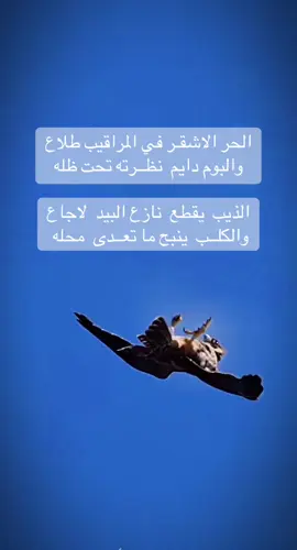 #فلسطين_أحساس_شاعر_لايك_فضلآ_وليس_أمرآ 