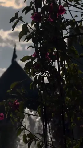 أين استقرت بك النوى😞❤️‍🩹#دعاء الندبة مهدي سماواتي 