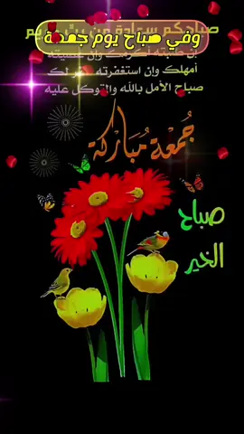 #دعاء #يوم #الجمعة #صباحكم_معطر_بذكر_الله #صباحكم_أحلى_صباح 