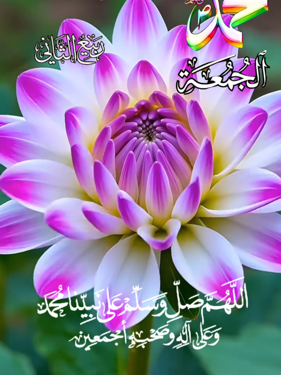 اللهم في يوم الجمعة اللهم في صباح يوم الجمعة دعاء يوم الجمعة #دعاء_يوم_الجمعة #جمعه_طيبه_مباركه #صباح_الخير #islamic_video #CapCut 