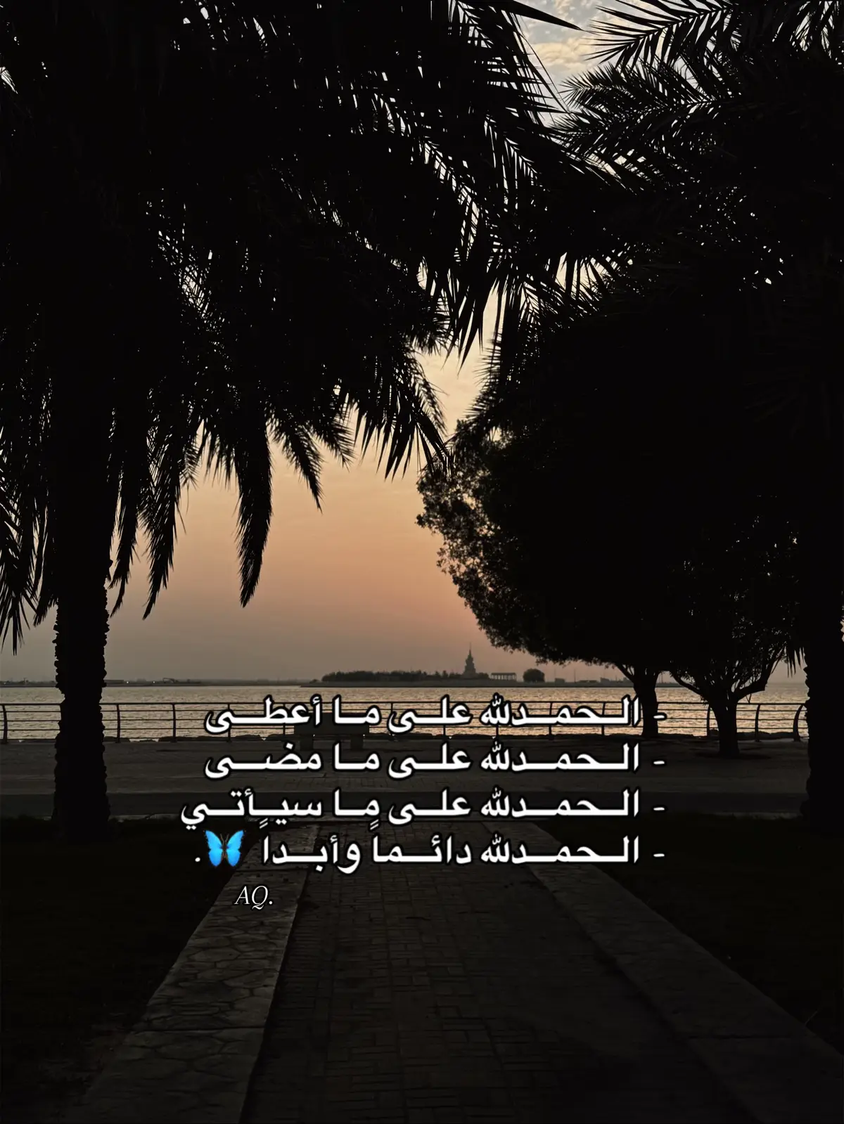 #تصويري📸 #مافي_قلبي #يارب_دعوتك_فأستجب_لي_دعائي #حالات #راحه_نفسيه🖤🎧 