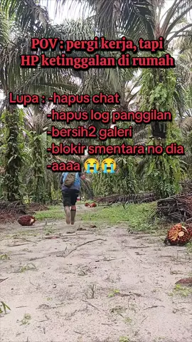 #mandorsawit #planters #sawitindonesia #sawitindonesia #kalimantanbarat 