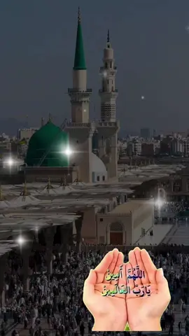 Ameen ❤️🤲🏻 #foryou #islamic_video #foryoupage #muslim #quran 